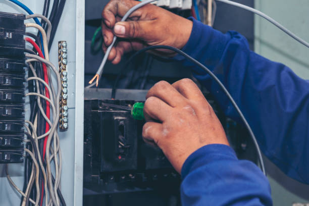 Best Ceiling Fan Installation Electrician  in Doctor Phillips, FL